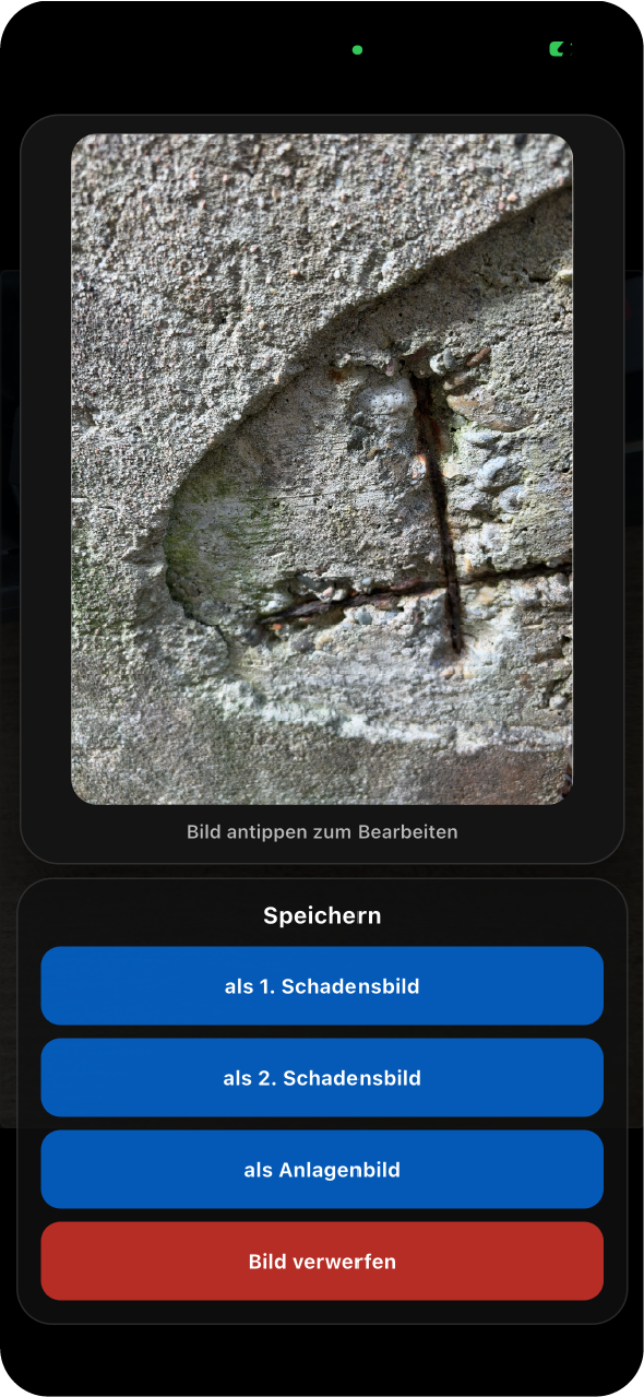 App - Schadensbildart